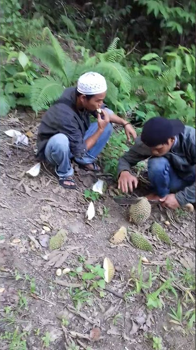 Makan durian di pinggir jalan hutan-hutan. Part 1 #shorts #durian #durianlokal