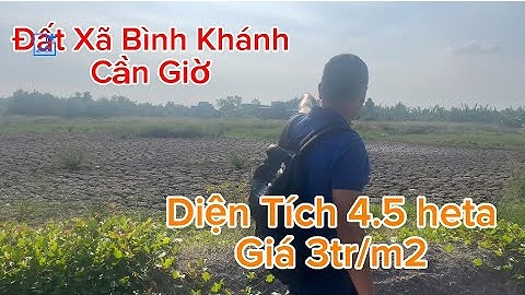 Đất Xã Bình Khánh Cần Giờ DT 4.5heta. Giá 3tr/m2 Đường Ô Tô Tới Đất