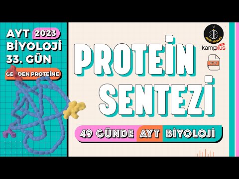 33) Protein Sentezi | Genden Proteine 12. Sınıf | YKS 2023 | AYT Biyoloji Kampı 33. Gün