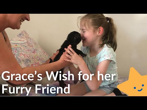 grace's-wish-to-have-a-best-friend---inspiring-wish-stories