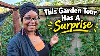 My Small Space Desert Garden Is Changing FAST! - Desert Garden Tour