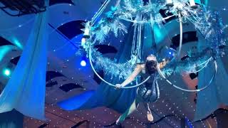 Phantom Circus - Holiday Aerial Chandelier