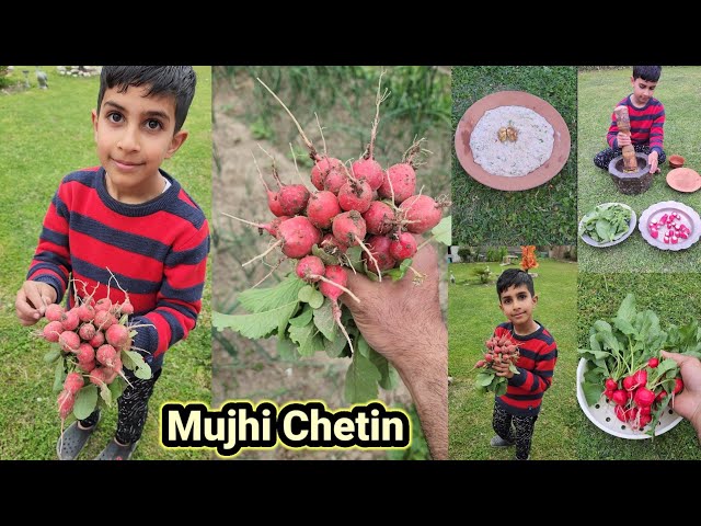 Mujhi Ti Dhoon Chetin | Red Radish Walnut Chutney | Kashmiri Chutney class=