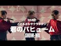 2026.02.22 君のパヒューム/SHOW-WA ところざわサクラタウン #showwa #東京ジャンクション#君のパヒューム 