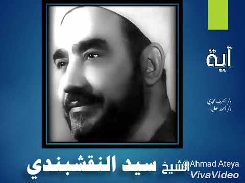 الشيخ سيد النقشبندي أرض بها عرفات الله