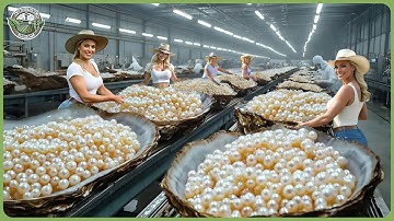 How Pearls Are Made - Fascinating Pearl Oysters Farming & Processing For Jewelry In Factory