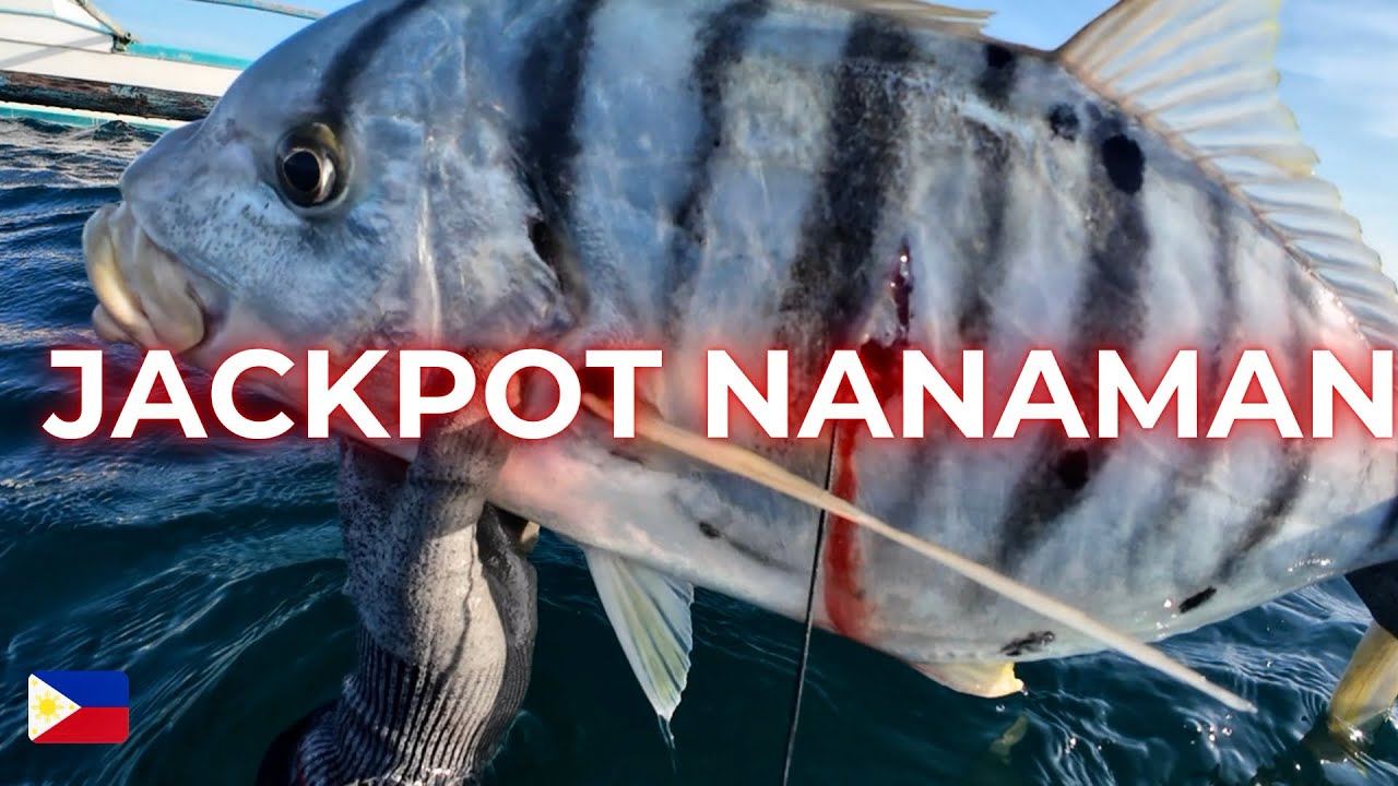 SPEARFISHING PHILIPPINES 🇵🇭 JACKPOT NANAMAN GIANT TREVALLY @JosephAgdon-if7fh