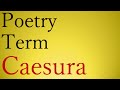 Poetry term  caesura