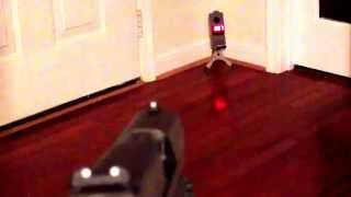 A look at the @LaserAmmoUSA SureStrike and LaserPet in action together. FUN!
