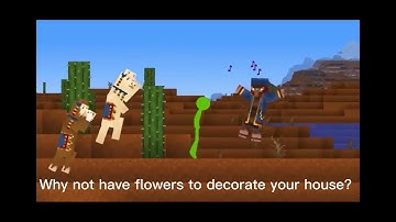 Wandering trader song with lyrics