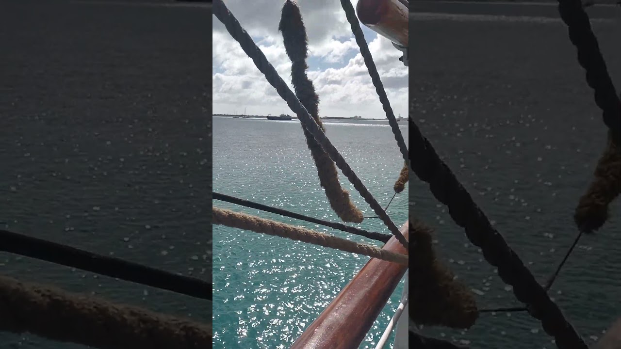 Masts of St Martin #shorts #Christian Radich #training ship