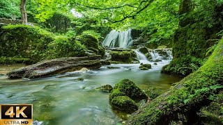 Waterfall 4K - Relaxing Music Along With Beautiful Nature Videos