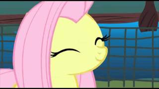 What is Fluttershy