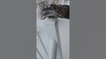 Staircase Handrail Snow Removal (djfitness1)