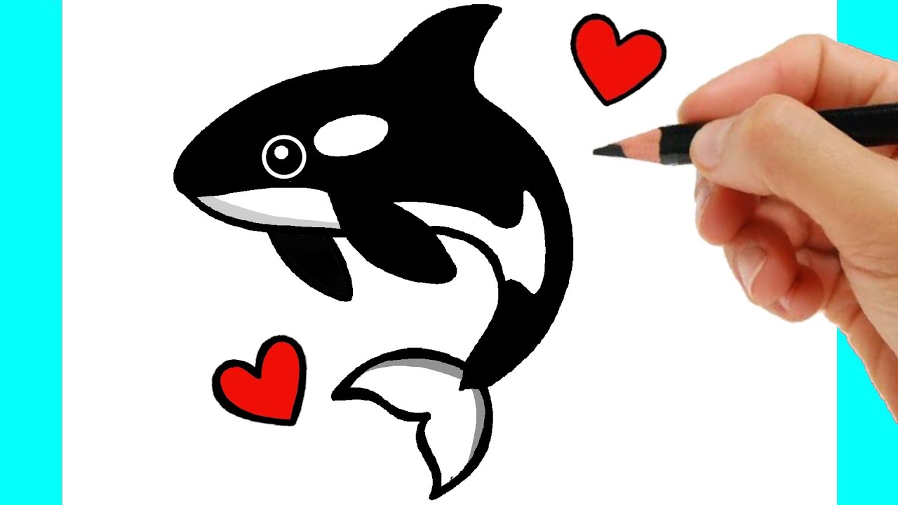 Hình vẽ dễ thương orca cute drawing Cho bé yêu của bạn