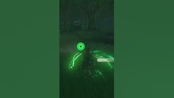 pre 1.1.2 patch ITEM DUPE GLITCH in TOTK!!!