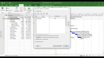 Insert and Lookup Custom Fields in Microsoft Project