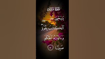 سورة مريم يايحيى خذ الكتاب بقوة وءاتيناه الحكم صبيا الاية ١٢