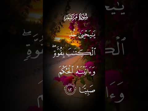 سورة مريم يايحيى خذ الكتاب بقوة وءاتيناه الحكم صبيا الاية ١٢