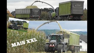 XXL-Mais für Claas Jaguar 950 - LU Dirschedl und LU Zimmermann - JCB Fastrac 4220 Jubiläumsedition