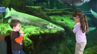 Dubuque vacation.mp4