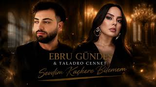 Taladro & Ebru Gündeş - Sevdim Kaç Kere Denedim Bilmem L Turk Müzic L