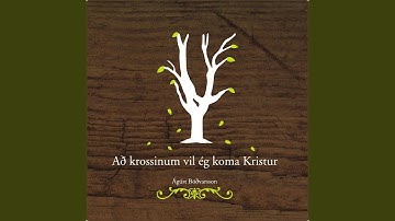 Að krossinum vil ég koma kristur