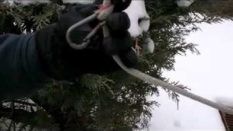 FlagDesk.com | Flag Runners show Why Carabiners Are Not Snap Hooks