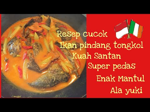 resep-ikan-pindang-tongkol-kuah-santan-super-pedas-||-resep-ikan-tongkol-bumbu-kuning-||-irlandia