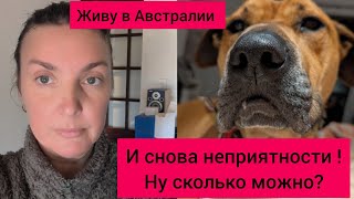 :       .    ?!  ?! # 