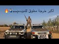 رحلة صيد طائر المطوق على الحدود السورية خرجة لا توصف 