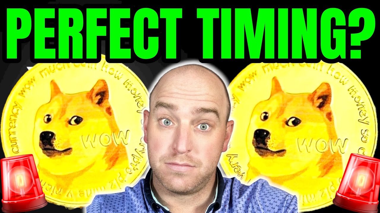 DOGECOIN - THE PERFECT TIME TO BUY DOGE? - YouTube