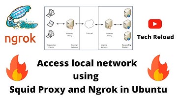 PART 2 | Access your private network through squid proxy and ngrok | Tech Reload | Hindi
