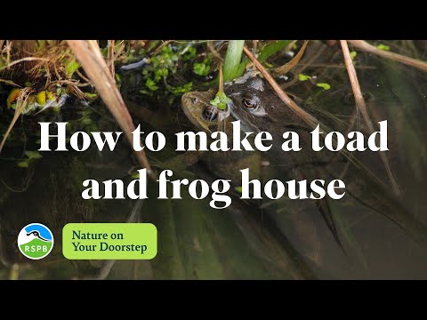Video: Uradi sam kućice za žabe: što koristiti kao kućicu za žabe