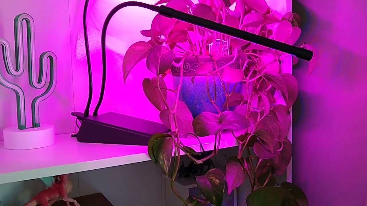 Gardenline Dual Head Plant Grow Light - YouTube