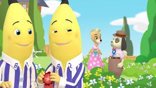 The Bananas Go Gardening | Bananas in Pyjamas Season 2 | Full Episodes | Bananas In Pyjamas