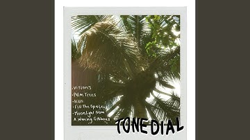 Moonlight From A Waning Gibbous