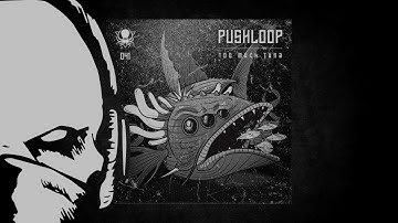 Pushloop - Computer Takeover [duploc.com premiere]