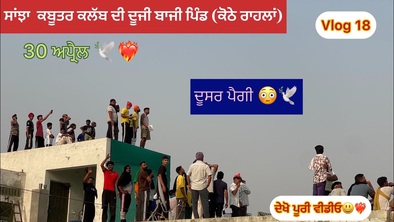 ਅੱਜ ਜਿੱਤ ਗਏ 🥳 ਰੂੰਮੀ ਵਾਲਿਆਂ ਦੇ ਕਬੂਤਰ  ਪਿੰਡ (ਕੋਠੇ ਰਾਹਲਾਂ) ਤੋ🕊️❤️‍🔥🥳 ਦੇਖੋ ਕੀ ਬਣਿਆ ॥😃❤️‍🔥🕊️