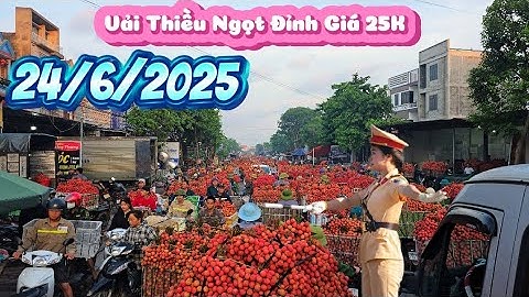 Giá Đỉnh Vải Thiều Ngọt Tại Ngã Ba Cầu Chét l Núi Đồi Lục Ngạn