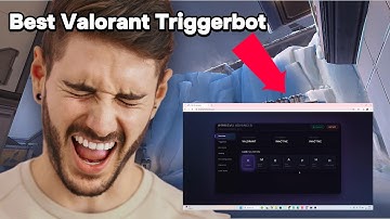 This Colorbot Is The Only One Still Undetected...