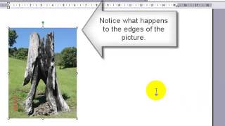 Positioning Picture Microsoft Word 2003