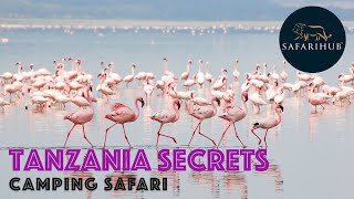 Tanzania Camping Secrets Safari | Ngorongoro Crater | Tarangire National Park | Safarihub