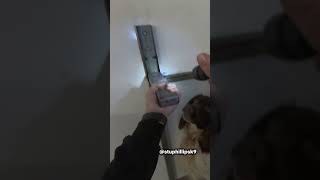 Griff finds what others missed #shorts #dog 