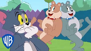 Tom & Jerry | Spike's Brother | WB Kids