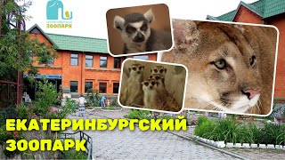 картинка: ЕКАТЕРИНБУРГСКИЙ ЗООПАРК / что можно посмотреть? /январь 2025г / 4К