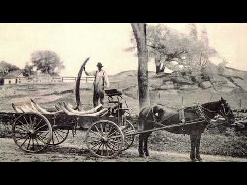 MTEMI MIRAMBO Na KISA KILICHOMPA USHUJAA