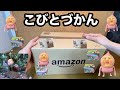 【こびとづかん 】開封動画【カクレモモジリ】