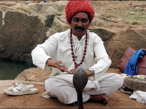 Guns for sale 410 snake charmer picture