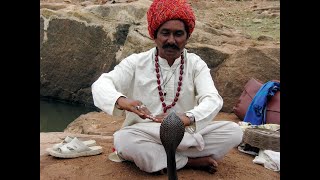 The Snake Charmer